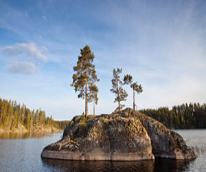  مصر اليوم - طرق الزراعة القديمة تكبح انقراض الحيوانات والنباتات
