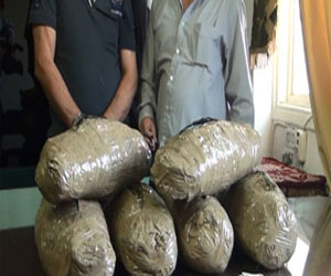   مصر اليوم - ضبط عاطلين بحوزتهما تذاكر أفيون ولفافات بانجو بأسوان وإدفو