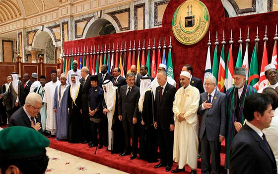   مصر اليوم - انطلاق القمة الأربعين لمجلس وزراء دول منظمة التعاون الإسلامي في غينيا