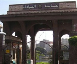   مصر اليوم - الصيادلة تدعو العاملين بالمهن الصحية للمشاركة في وقفة الكادر