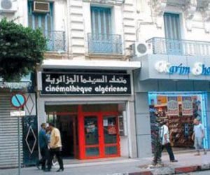   مصر اليوم - سينماتك الجزائر تتسلم 50 دي في دي عن تاريخ الحرب التحريرية من مخرج فرنسي