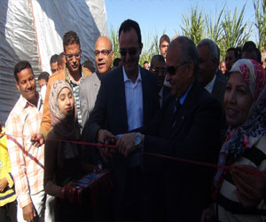   مصر اليوم - محافظ الأقصر يفتتح عددًا من المدارس والمنشآت الحكوميّة