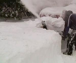   مصر اليوم - الطيران في لبنان : العاصفة الثلجية لن تؤثر على حركة الملاحة في المطار