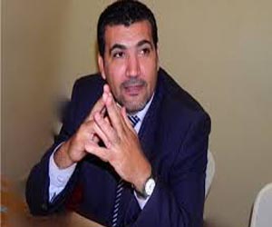   مصر اليوم - تدشين تحالف تيار الإستقرار والتنمية  الاحد القبل