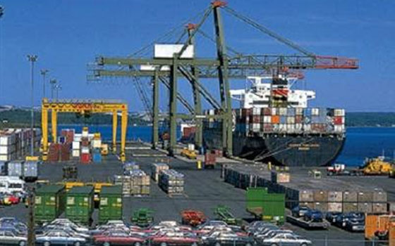   مصر اليوم - رئيس شعبة المستوردين يؤكِّد أن رجال أعمال الإخوان يهدفون لإسقاط الاقتصاد