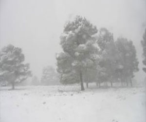   مصر اليوم - أليكسا تلغي 6 رحلات لـ الملكية الأردنية