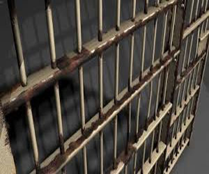   مصر اليوم - القبض على 10 أشخاص يُنقِّبون عن الذَّهب في حلايب وشلاتين