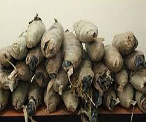   مصر اليوم - ضبط عاطلين بحوزتهما 55كيلو بانجو في دمياط