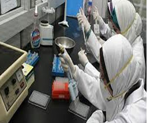   مصر اليوم - قومي البحوث يتوصل لنتائج فعالة فى علاج السرطان