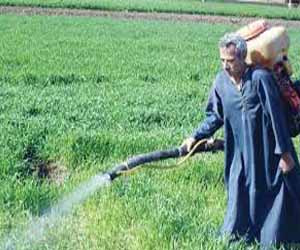   مصر اليوم - نقص الاسمدة ومياه الري وديون البنك تدفع الفلاحين المصريين لهجر أراضيهم