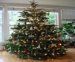   مصر اليوم - بطاقة كريسماس تباع في مزاد بمبلغ 4200 جنيه إسترليني