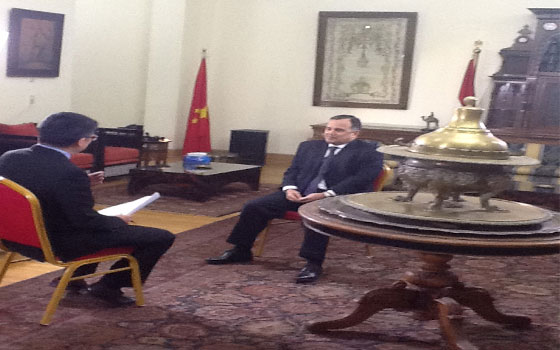   مصر اليوم - فهمي يؤكدّ استعادة مصر دورها الإقليمي ومكانتها الدوليّة في محيطها العربي والأفريقي