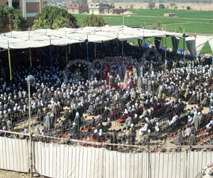   مصر اليوم - أبناء الطُّرق الصُّوفية يحتفلون بمولد الشِّيخ سقاو في الأقصر