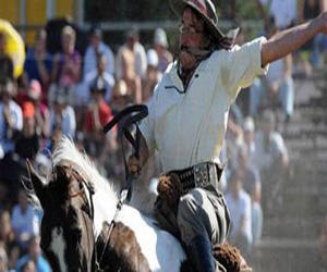   مصر اليوم - انطلاق موسم الروديو بتكساس فى يناير