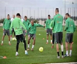 مصر اليوم - اللقاء الودي بين الجزائر و فرنسا بعد تصفيات كأس إفريقيا للأمم 2015