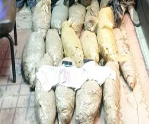   مصر اليوم - حبس متهم بالاتجار في المخدرات بسوهاج 4 أيام