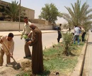   مصر اليوم - محافظ الإسكندرية يصدر قرارًا بتجميل وتشجير منطقة غرب