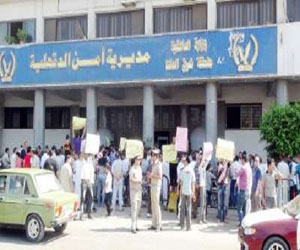   مصر اليوم - القبض على مجنَّد صوَّر منشآت عسكريَّة في الدَّقهليَّة