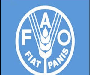   مصر اليوم - فاو تحذر من خطورة تسرب الامراض بسبب التوسع الزراعى