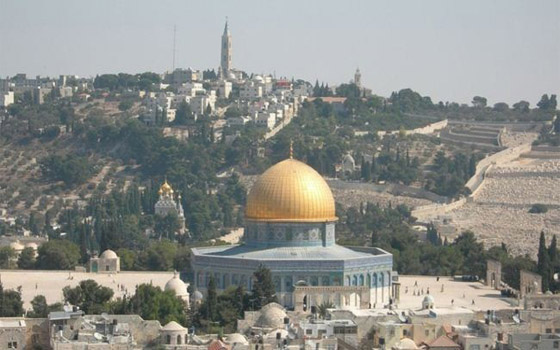   مصر اليوم - مصر تؤكّد التزامها بتحقيق سلام عادل وشامل في الشرق الأوسط ودعم القضيّة الفلسطينيّة