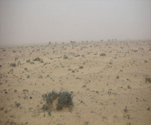   مصر اليوم - الأفرو أسيوي للتنميّةِ  تنظمُ دورّة تدريبيّة في مطروح