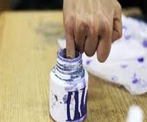   مصر اليوم - حركة الضغط الشعبي تطالب بإجراء استفتاء الدستور إلكترونيًا