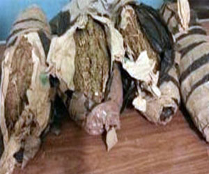   مصر اليوم - ضبط شخصين بحوزتهما ربع كيلو بانجو وأسلحة فى حملة أمنية في بني سويف