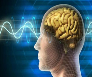   مصر اليوم - المادة الرمادية في الدماغ ترتبط بثقتنا في نصائح المشاهير