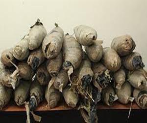 مصر اليوم - ضبط 8 كيلو بانجو بحوزة عاطل في نجع حمادي