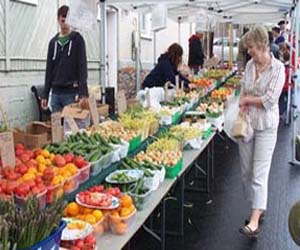   مصر اليوم - استطلاع: سمعة الأسر الألمانية ذات العدد الكبير من الأبناء سيئة