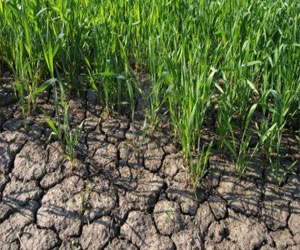   مصر اليوم - تدشين  مشروع القرن لتنمية أفريقيا وإنقاذ مصر من العطش