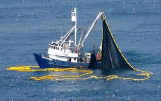 مصر اليوم - الجزائر والاتحاد الأوروبي يُوقِّعان 4 اتفاقات بقيمة 94 مليون يورو