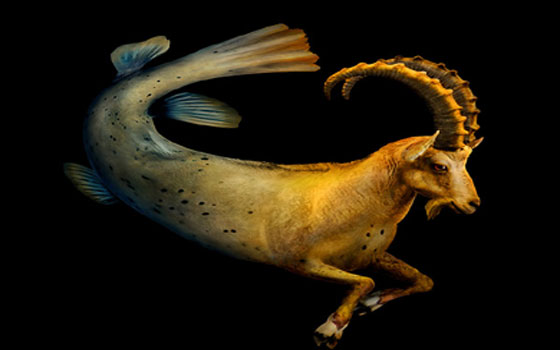   مصر اليوم - مولود برج الجدي يتميز بالثِّقة ويتجنب السَّلبيات ويستغل ضعف الآخرين