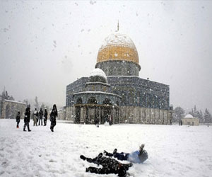 مصر اليوم - غزة تُحذِّر من كارثة صحية بسبب العاصفة الثلجية