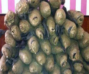   مصر اليوم - القبض على حارس عقار وبحوزته 2.5 كيلو بانجو في النزهة