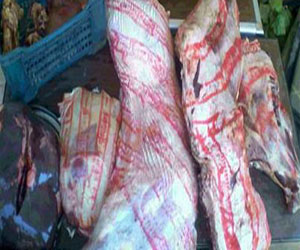 مصر اليوم - ضبط 11 واقعة ذبح خارج السلخانة فى حملات تموينية في قنا