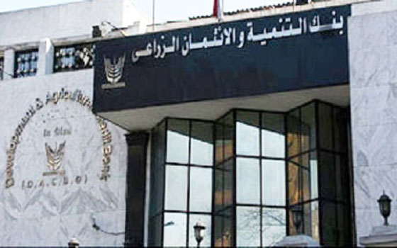 مصر اليوم - بدء الخطوات التنفيذية لإقامة المدن الزراعية في 3 محافظات مصرية