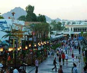   مصر اليوم - تعيين المعاقين فى الفنادق والمنتجعات السياحية في البحرالأحمر