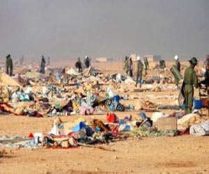   مصر اليوم - الطبعة الرابعة للمهرجان الدولي للسينما: تسليط الضوء على الأراضي الصحراوية المحتلة