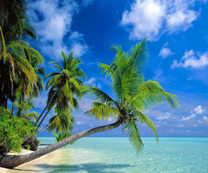 مصر اليوم - المالديف سحر الطبيعة الذي لا تراه إلا في الأحلام