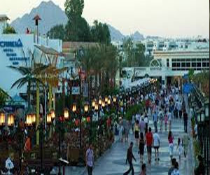   مصر اليوم - المجر ترفع حظر السفر إلى مصر وبيرو تؤكد جهود الأمن