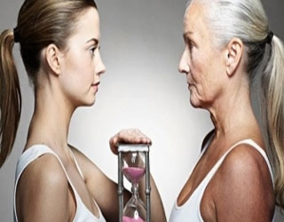 مصر اليوم - مُركَّب بروتيني يعمل على تصغير عمر الانسان