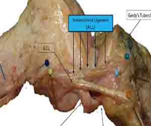   مصر اليوم - التهابات المفاصل الروماتويدي سبب ارتفاع معدل الوفيات بين السيدات