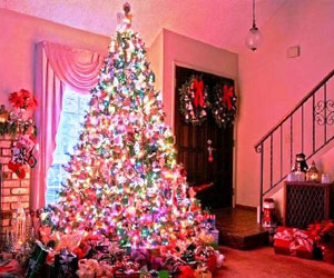   مصر اليوم - سائحون يقضون الكريسماس محاصرين بالجليد في المحيط القطبى الجنوبي