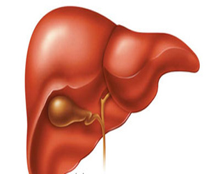   مصر اليوم - اتهام جراح بريطاني بالتوقيع بالأحرف الأولي على كبد مريض