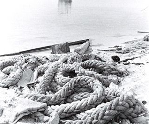   مصر اليوم - الشارقة للفنون ترصد 734 ألف درهم لدعم الفنانين