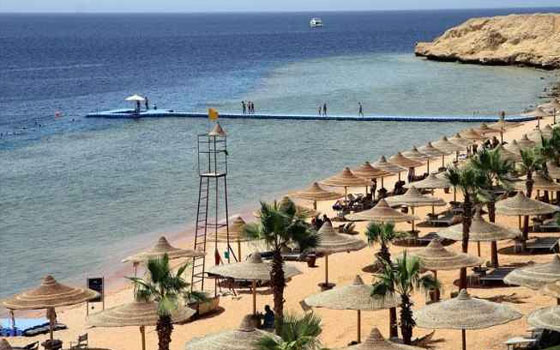   مصر اليوم - هيئة التّنمية السّياحيّة المصريّة تعلن توافر 30 فرصة للاستثمار