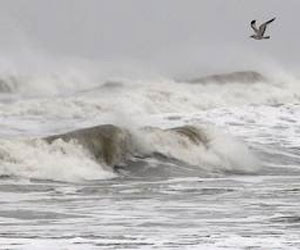   مصر اليوم - العواصف تتسب في أمواج عاتية على سواحل ماليزيا