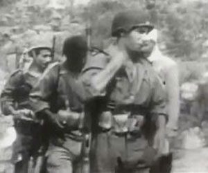   مصر اليوم - الثورة الجزائرية في سمبوزيوم فكري في متحف هولندي