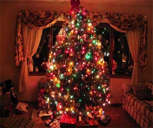   مصر اليوم - خبير آثار: شجرة عيد الميلاد أصلها مصري قديم